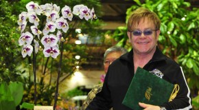 Un’orchidea dedicata a Elton John