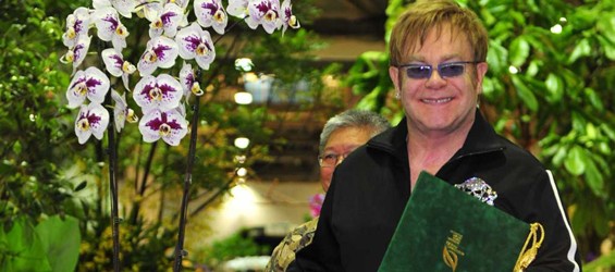 Un’orchidea dedicata a Elton John