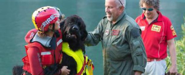 I cani da salvataggio: un documentario sugli eroi a 4 zampe in onda stasera