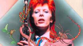 Social radar: l’arte dei collage per i mille volti di Bowie